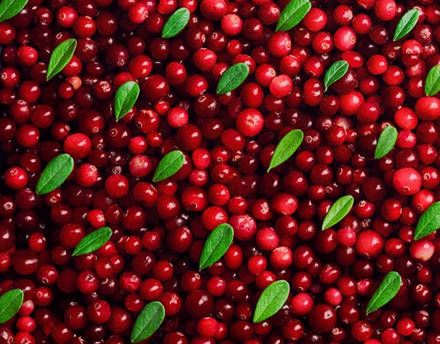 Finlandia Berry Sour